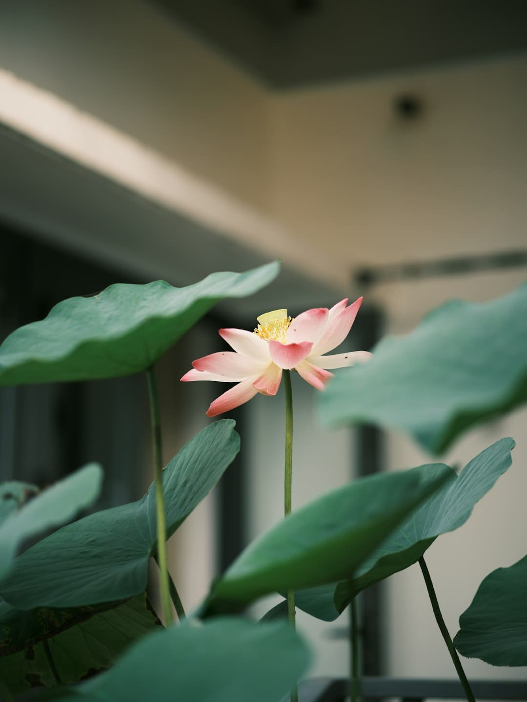 《生万物》:传统题材找到新切口